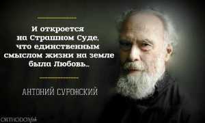 В чём смысл жизни человека на Земле