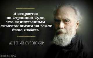 В чём смысл жизни человека на Земле