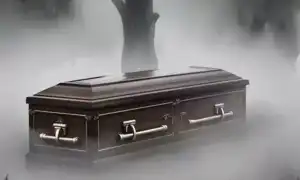 К чему снится гроб: толкование и значение