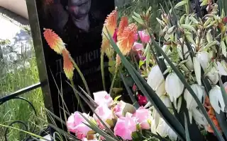 Сонник: кладбище и могилы во сне – толкование и значения