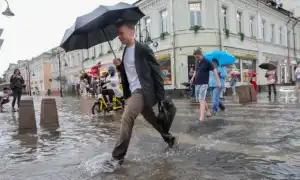 К чему снится ливень или сильный дождь по сонникам: толкование и значения