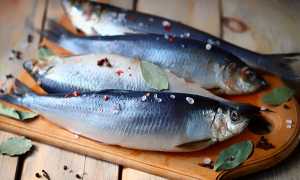 К чему снится селёдка по сонникам: толкование и значение