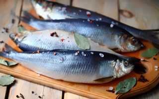 К чему снится селёдка по сонникам: толкование и значение