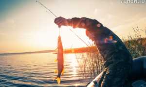 К чему снится ловить рыбу руками женщине, девушке, мужчине во сне