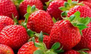 К чему снится спелая, красная клубника во сне женщине, девушке, мужчине: толкование и значение