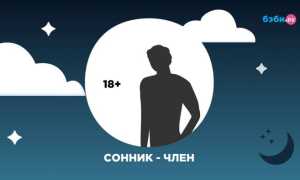 К чему снится член мужской (половой орган) замужней и незамужней женщине: толкование и значение
