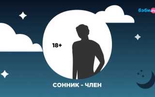 К чему снится член мужской (половой орган) замужней и незамужней женщине: толкование и значение