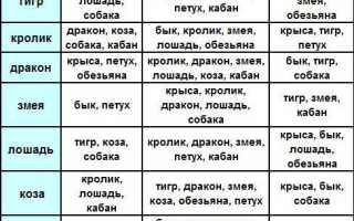 Мужчина-Близнецы: характеристика и совместимость со знаками Зодиака в любви и жизни
