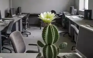 К чему снится бывшая работа во сне женщине и мужчине: толкование и советы