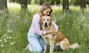 К чему снится собака во сне женщине: толкование и значение