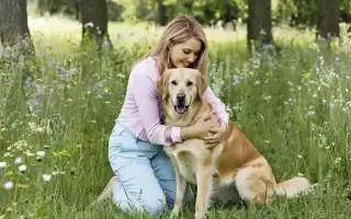 К чему снится собака во сне женщине: толкование и значение