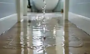 К чему снится потоп в квартире во сне женщине, девушке, мужчине: толкование и значение