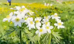 К чему снится бывший парень с четверга на пятницу: толкование и советы