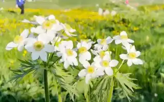 К чему снится бывший парень с четверга на пятницу: толкование и советы