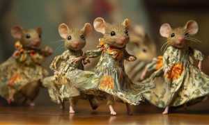 К чему приснились мыши в доме или квартире во сне: толкование и значение