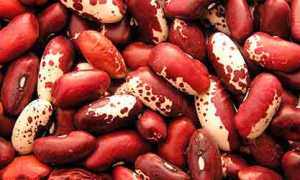 К чему снится фасоль во сне: красная, белая, много и их значение