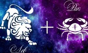 Мужчина-Рак и женщина-Лев: совместимость знаков Зодиака в любви и отношениях, особенности и советы