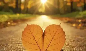 Что снится к неверности любимого человека: какие сны предвещают измену и их значение