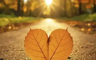 Что снится к неверности любимого человека: какие сны предвещают измену и их значение