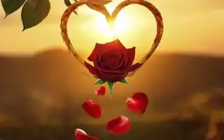 Что снится к замужеству девушке и женщине: толкование и советы