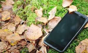 К чему снится потерять телефон во сне: значение и толкование