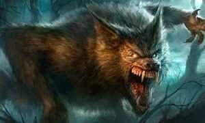 К чему приснился оборотень: толкование по сонникам и их значения