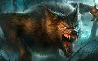 К чему приснился оборотень: толкование по сонникам и их значения