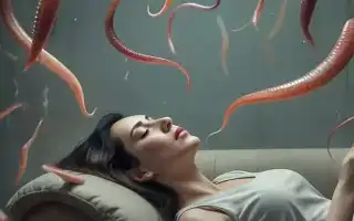 К чему снятся пиявки: разгадываем тайны сновидений и их значение