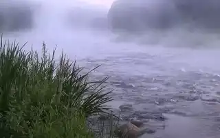 К чему снится река во сне: чистая, грязная, большая, с быстрым или меленным течением и их значение