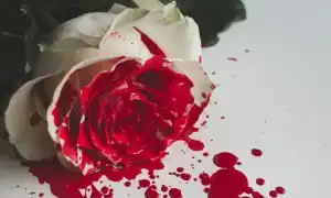 К чему приснилась кровь женщине и девушке: что сбудется после такого сна и его значение