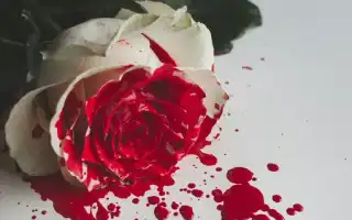 К чему приснилась кровь женщине и девушке: что сбудется после такого сна и его значение