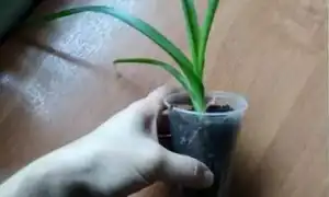 Реальная мистическая история из жизни: простое чудо, которое люди не замечают, но важно