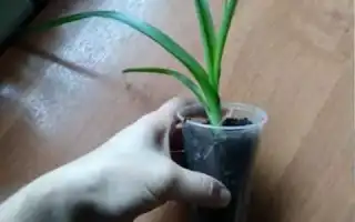 Реальная мистическая история из жизни: простое чудо, которое люди не замечают, но важно