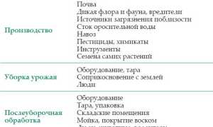 Признаки порчи на развод: как определить и снять самостоятельно дома без помощи