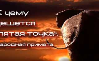 К чему чешется попа у женщины, девушки, мужчины: приметы, суеверия и их значение
