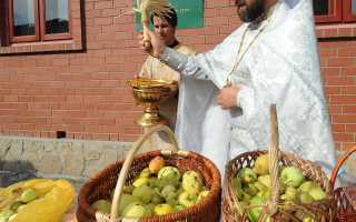Заговоры и обряды на Яблочный Спас: традиции и советы