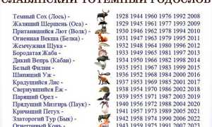Чей 2012 год, какого животного по восточному и славянскому календарю, узнайте сейчас