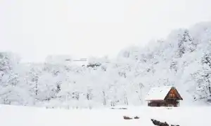 К чему снится снег во сне: белый, чистый, много, сугробы и их значение