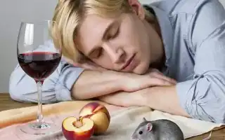 К чему снится пьяный муж во сне: толкование и значение