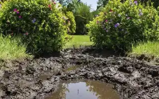 К чему снится грязь в сновидениях