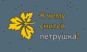 К чему снится петрушка: точное толкование и значение