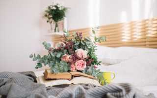 К чему снятся живые цветы во сне женщине, девушке, мужчине: толкование и значение