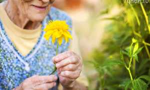 К чему снится умершая бабушка живой в разных культурах