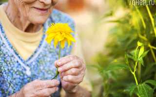 К чему снится умершая бабушка живой в разных культурах