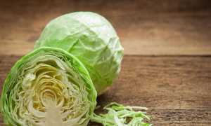 К чему снится капуста во сне женщине, девушке и мужчине: толкование и значение