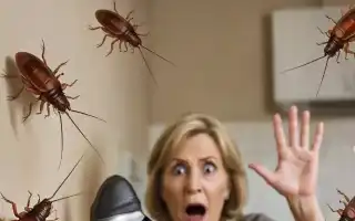 К чему снится много тараканов в жизни