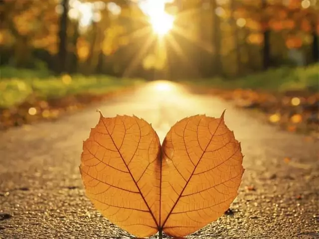 Что может присниться к измене