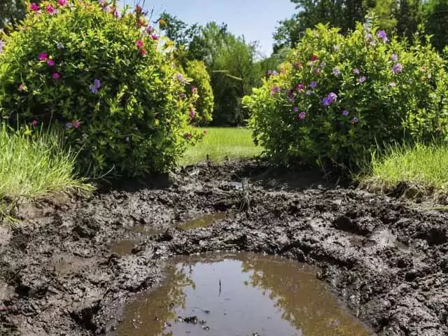 Снится девушке грязь