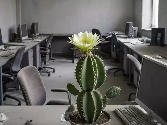 Сонник: работа старая