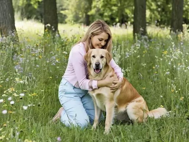 К чему снится собака женщине замужней